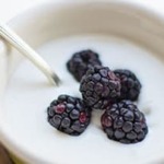 yogur analisis alimentos