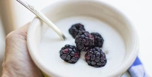 yogur analisis alimentos