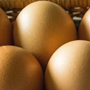 huevos seguridad alimentaria