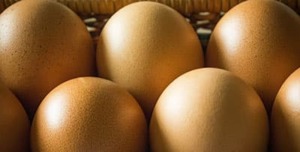 huevos seguridad alimentaria