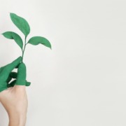 Requisitos del etiquetado ecológico